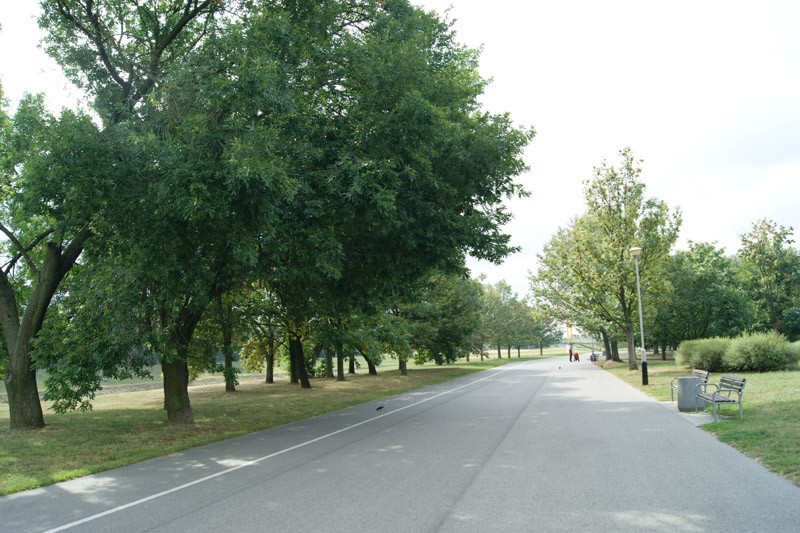 Ścieżka rowerowa w kierunku Lisiej Góry